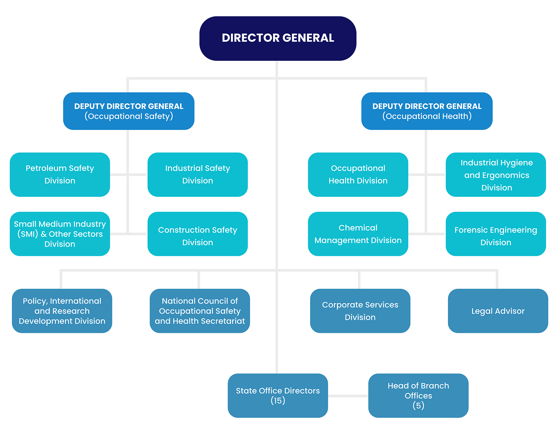Malaysia Organisation Chart