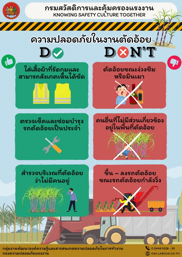 ความปลอดภัยในงานตัดอ้อย