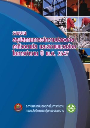 สถานการณ์การดำเนินงานด้านความปลอดภัยฯ ปี 2547